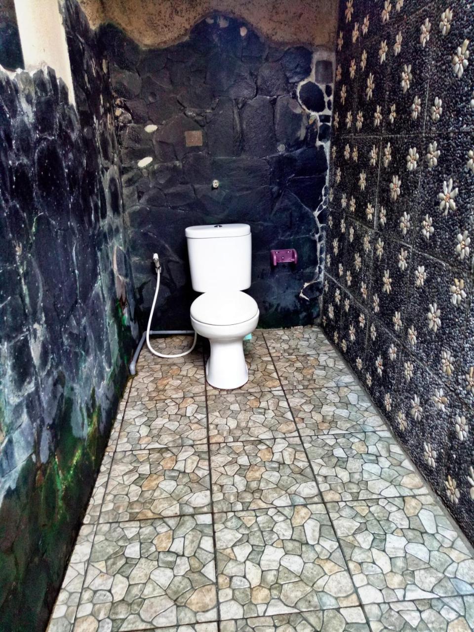 苏安迪之家住宿加早餐旅馆 乌布 外观 照片